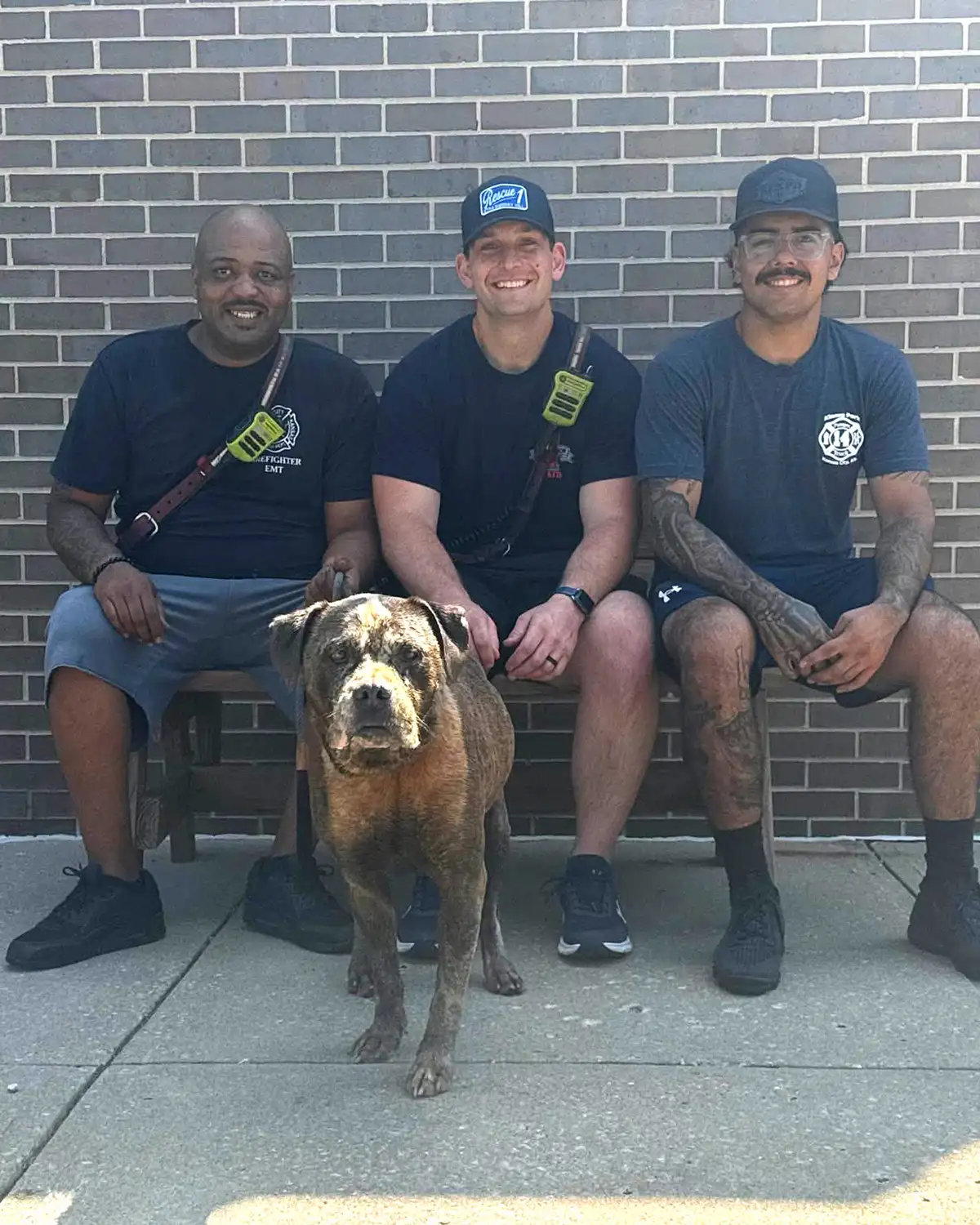 Three Kansas City Kansas Fire Department officials sitting on a bench with the rescued dog Brisket standing in front of them